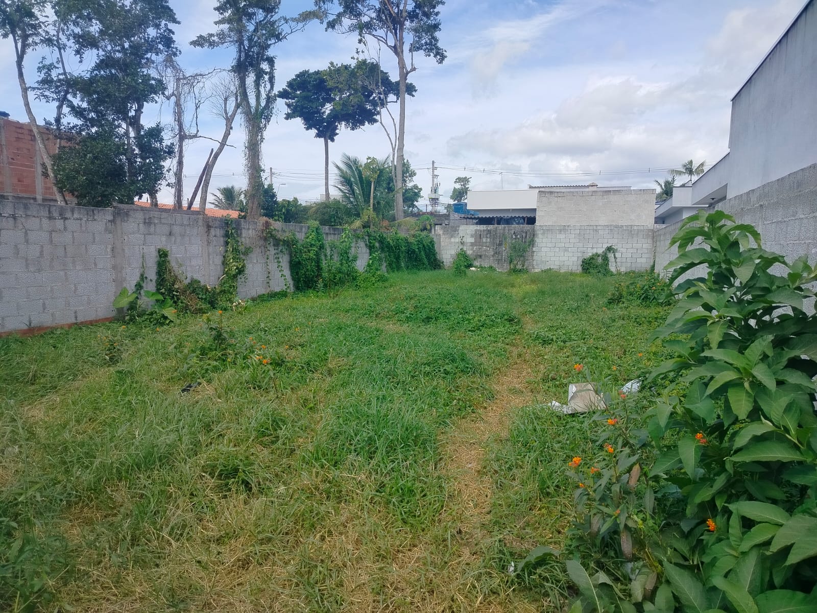 TERRENO ABAIXO DO PREÇO EM CARAGUATATUBA