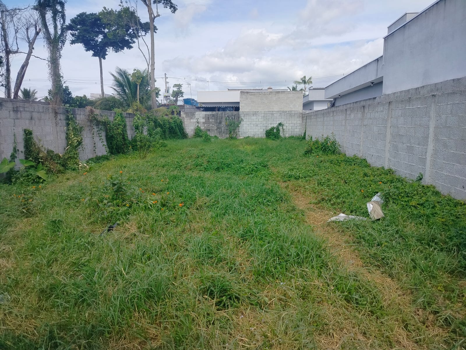 TERRENO ABAIXO DO PREÇO EM CARAGUATATUBA