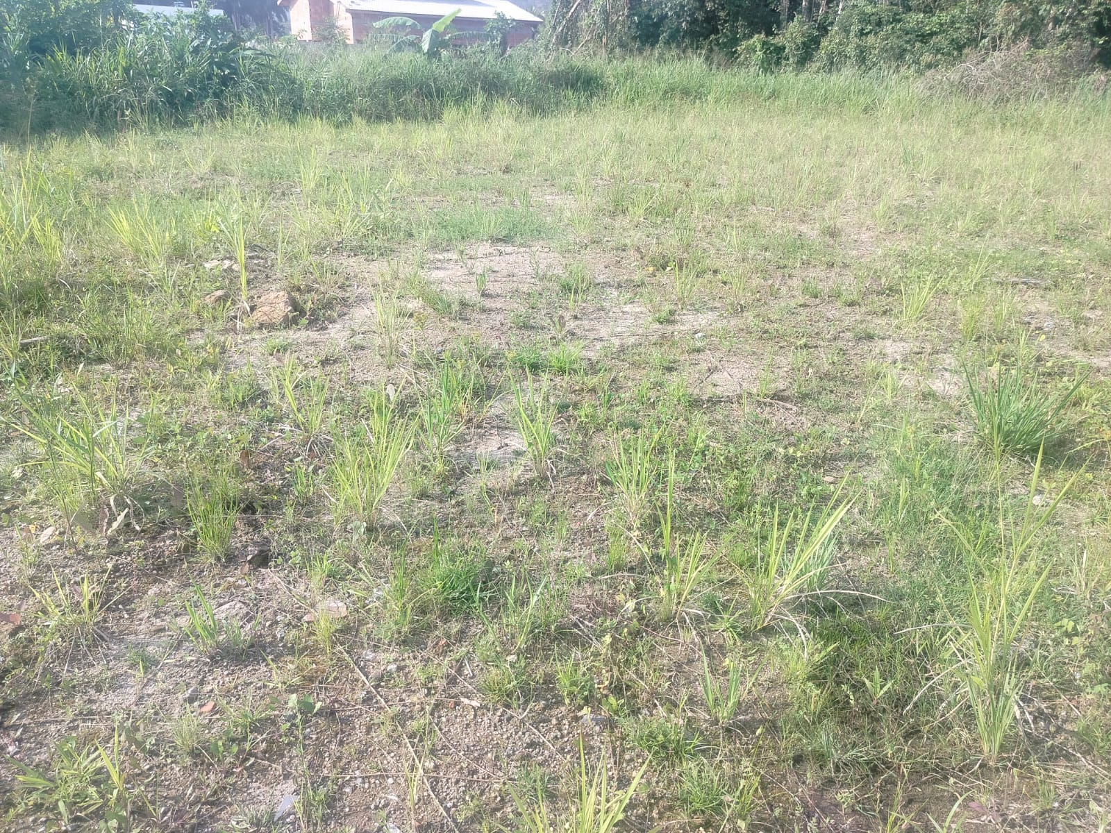 Terreno no mar verde 