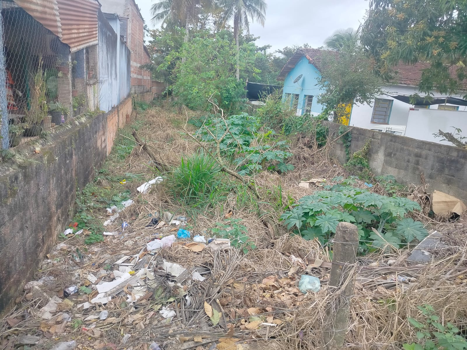 Terreno de 250 m² com Frente para a Rodovia na Enseada