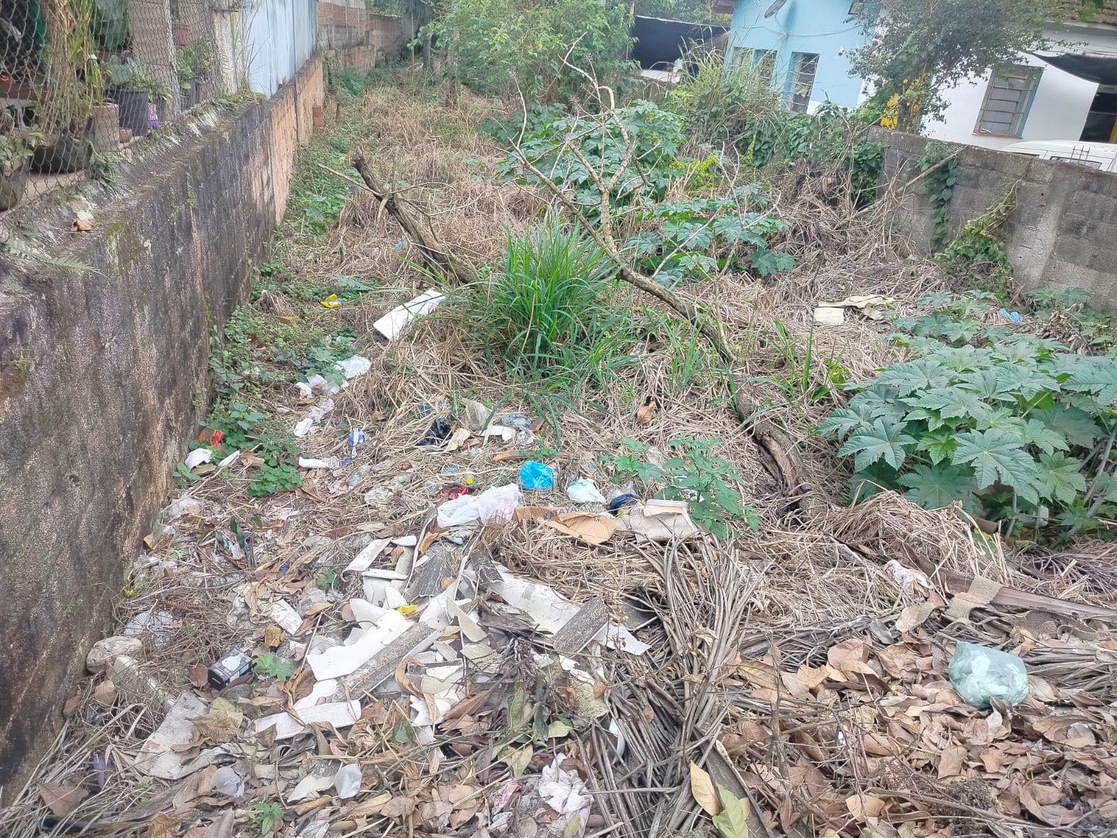 Terreno de 250 m² com Frente para a Rodovia na Enseada