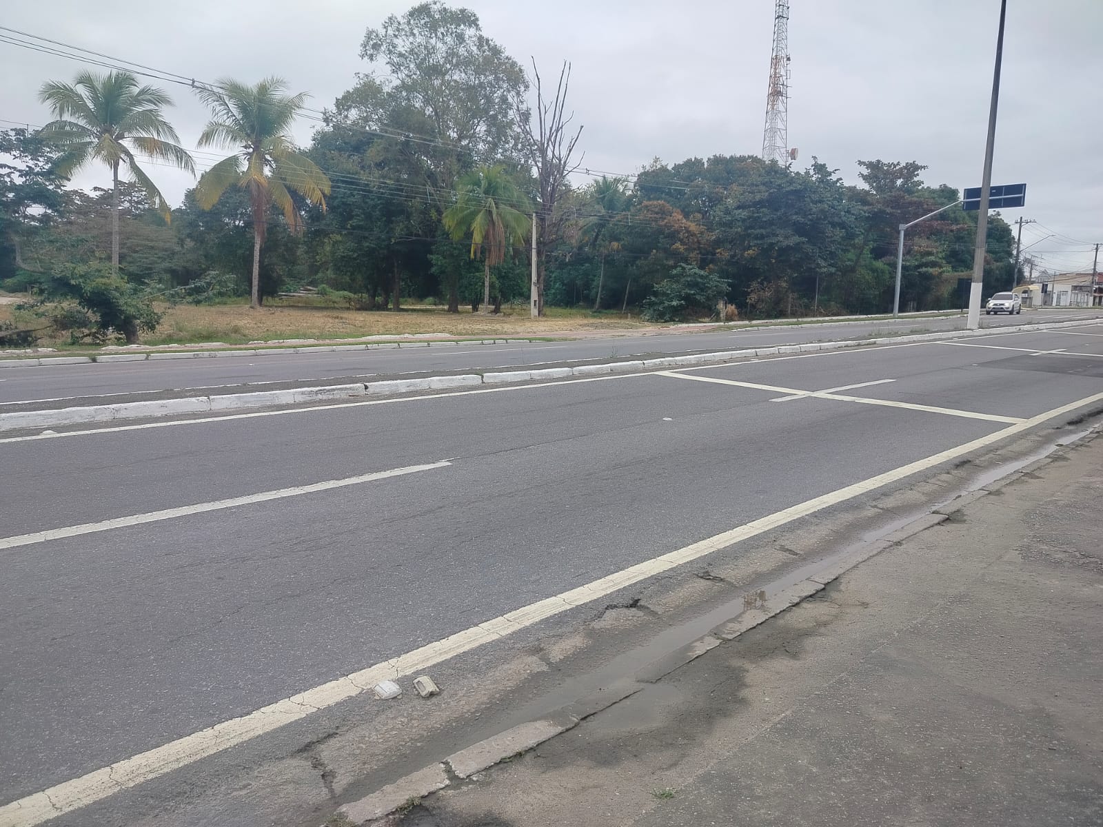 Terreno de 250 m² com Frente para a Rodovia na Enseada