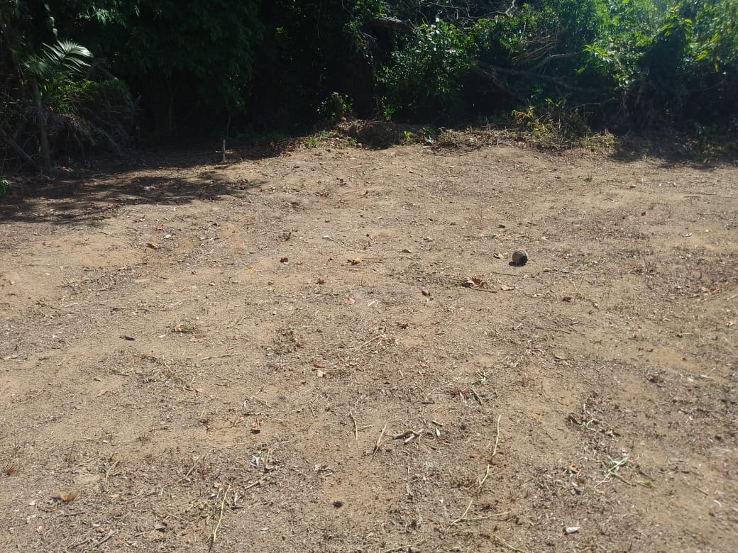Terreno de 377 m² a 250m da Praia em Massaguaçu